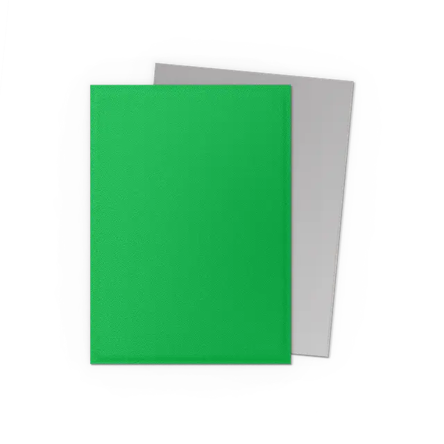 Dragon Shield: Apple Green & Silver Dual Matte Sleeves (100)