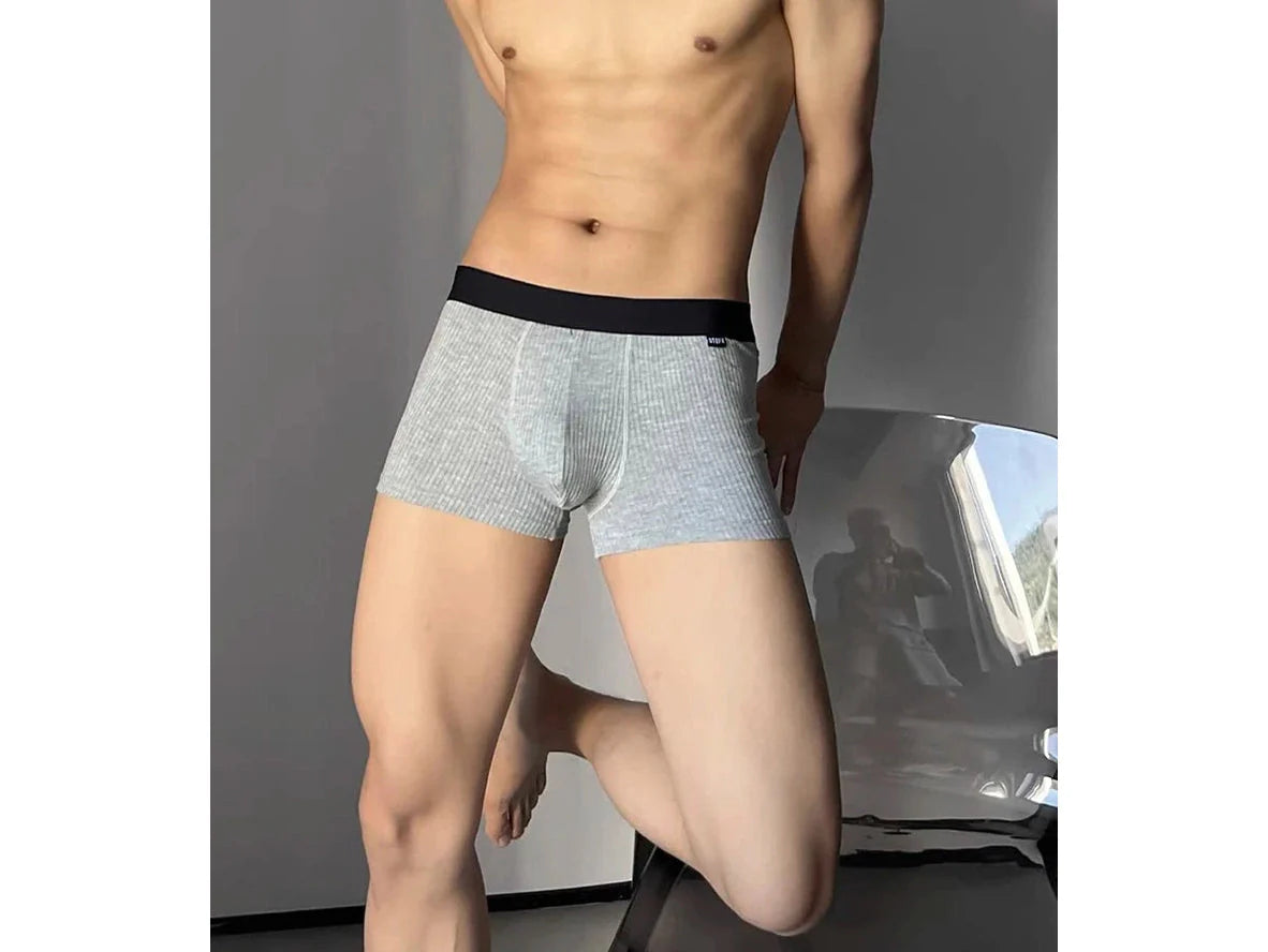 Gay Boxer Briefs | GTOPX MAN Soft Boxer Underwear