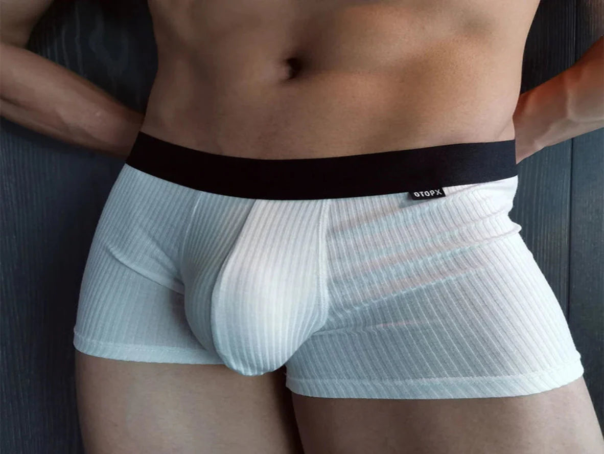 Gay Boxer Briefs | GTOPX MAN Soft Boxer Underwear