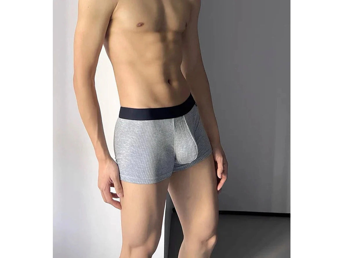 Gay Boxer Briefs | GTOPX MAN Soft Boxer Underwear