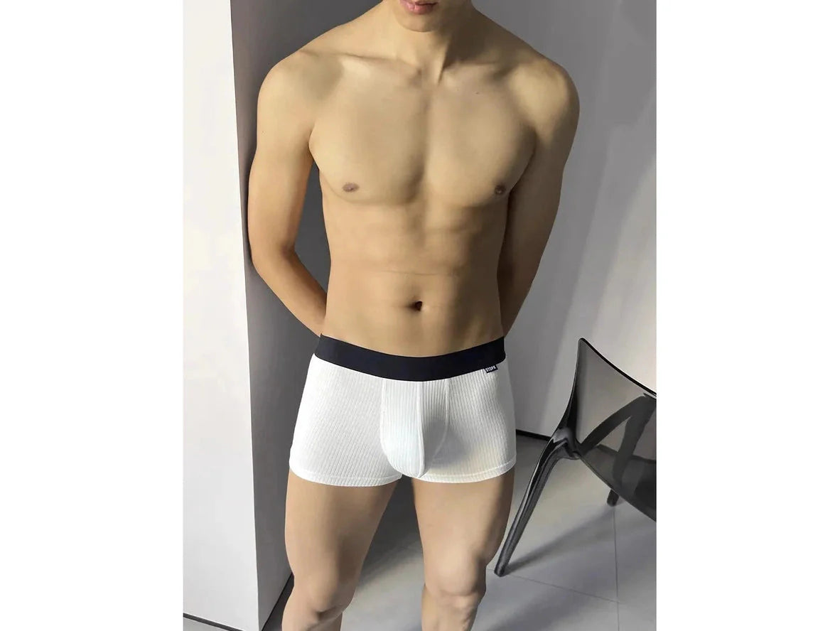 Gay Boxer Briefs | GTOPX MAN Soft Boxer Underwear