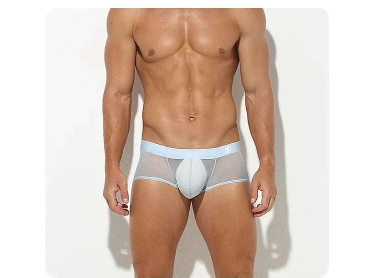 Gay Boxer Briefs | Ultra-Thin Transparent Boxer Briefs