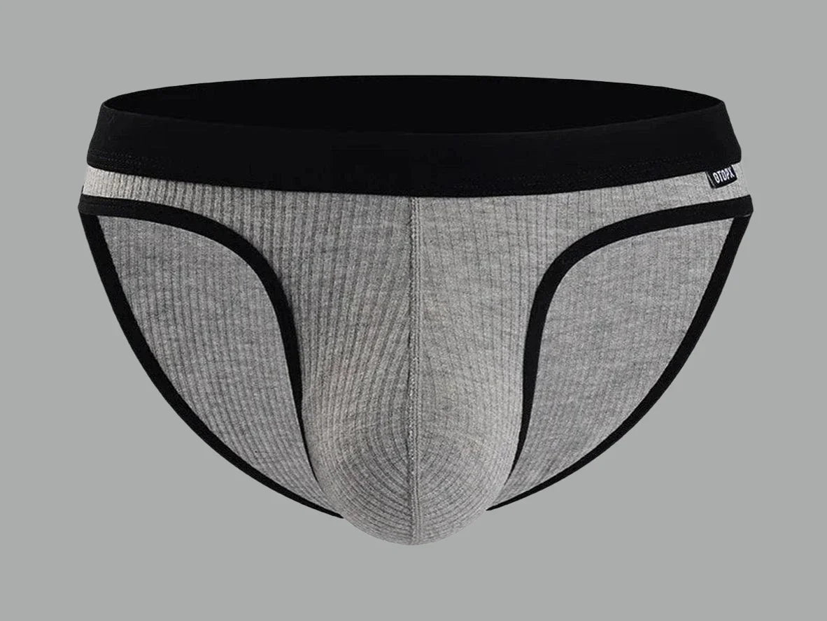 Gay Briefs | GTOPX MAN Pouch Briefs
