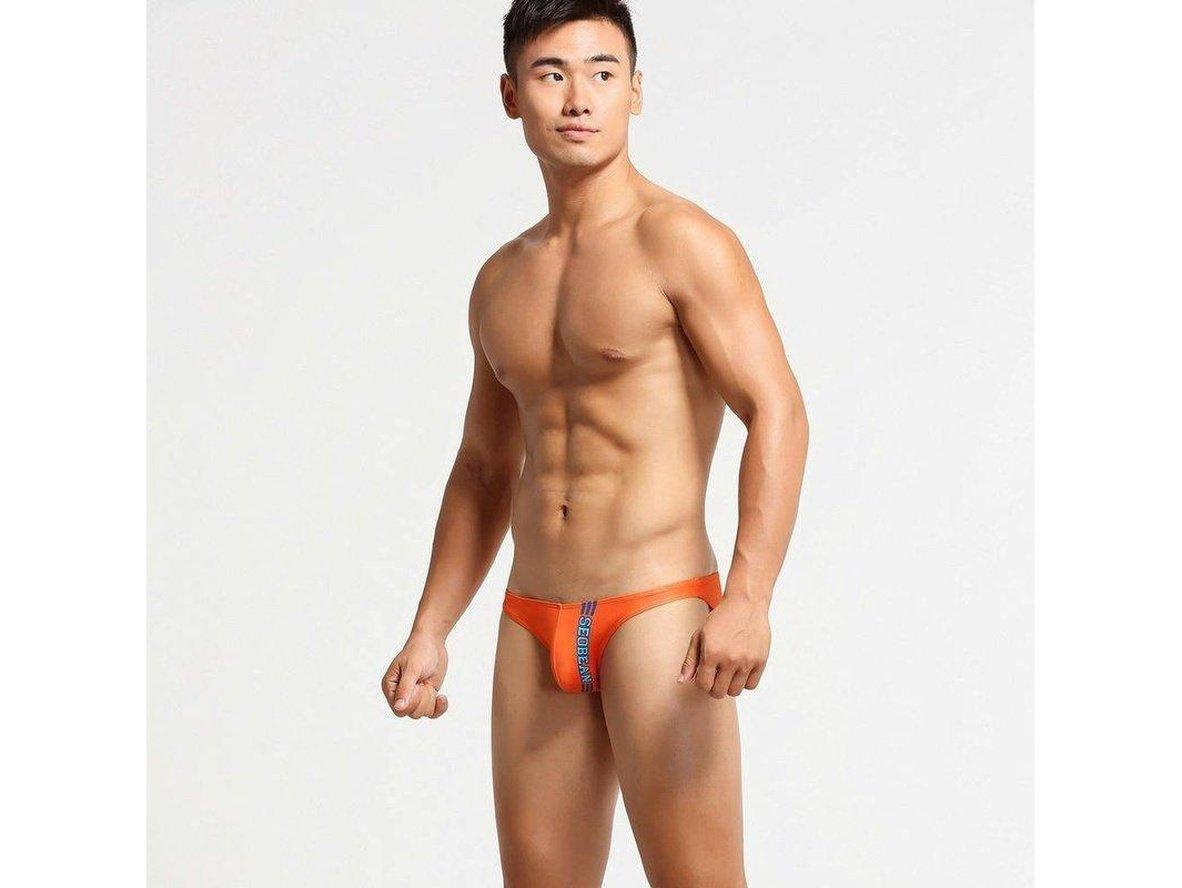 Gay Briefs | SEOBEAN Hot Low-Rise Underwear Briefs