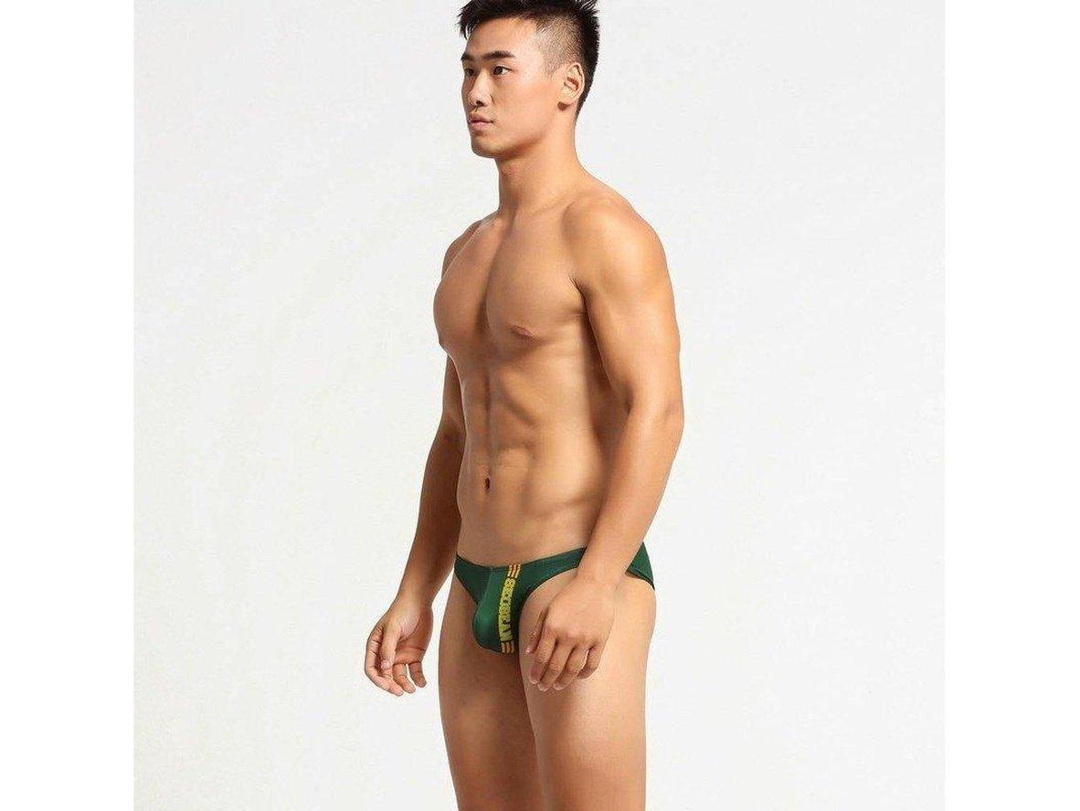 Gay Briefs | SEOBEAN Hot Low-Rise Underwear Briefs
