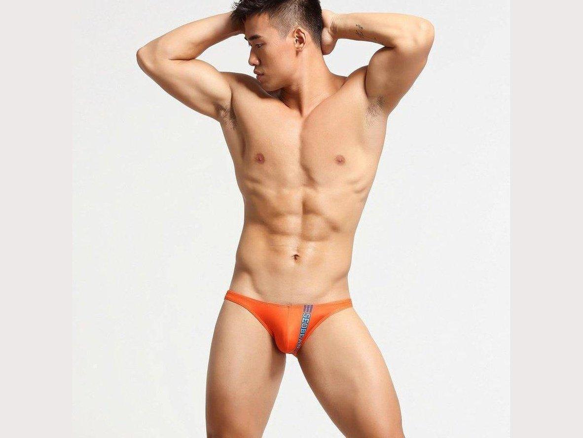 Gay Briefs | SEOBEAN Hot Low-Rise Underwear Briefs