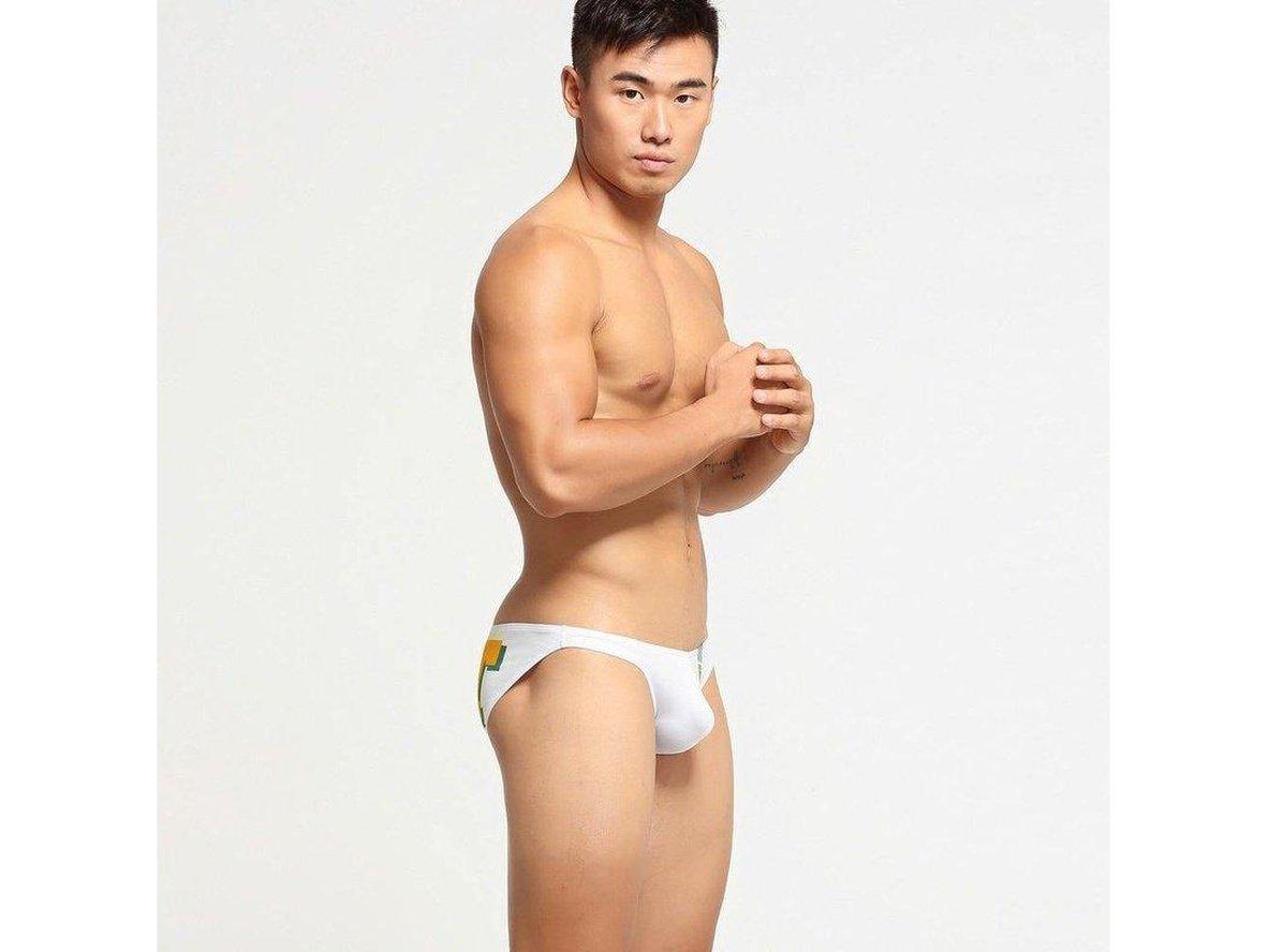 Gay Briefs | SEOBEAN Hot Low-Rise Underwear Briefs