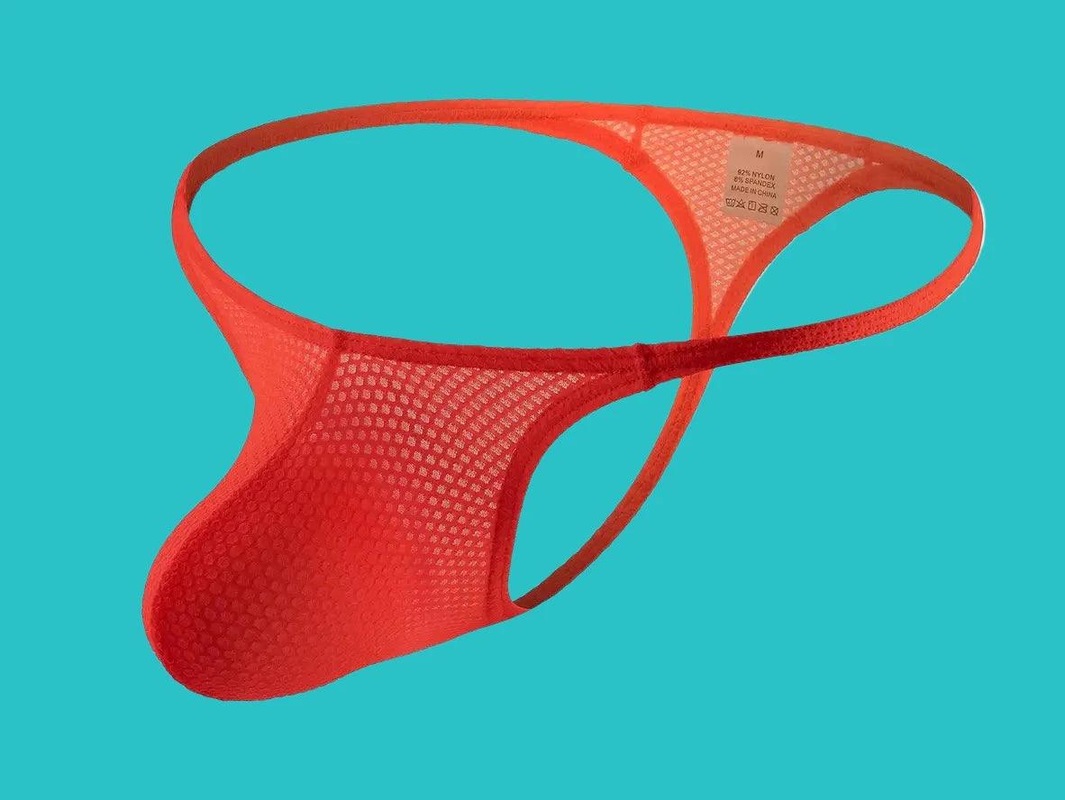 Gay Thongs | Ultra-Thin Mesh Underwear Thongs