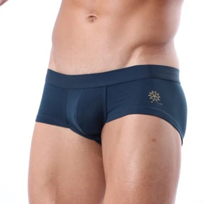 BRAVE PERSON Mens Underwear Boxer Shorts High-quality Low-waist Nylon Underpants Men Boxers Trunks 4 Color Boxer Briefs