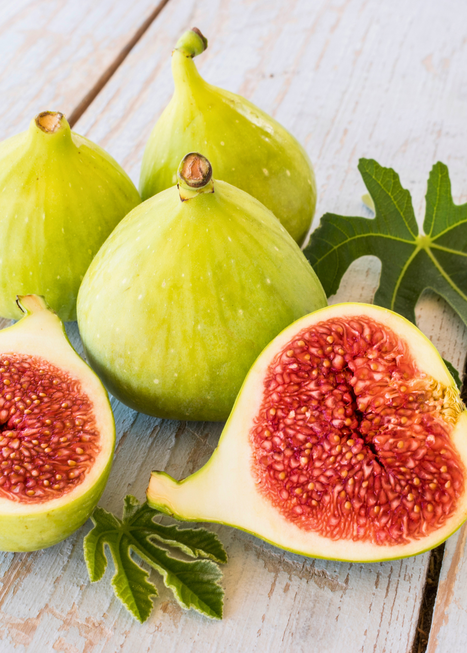 Fig 'Kadota' (Ficus carica)