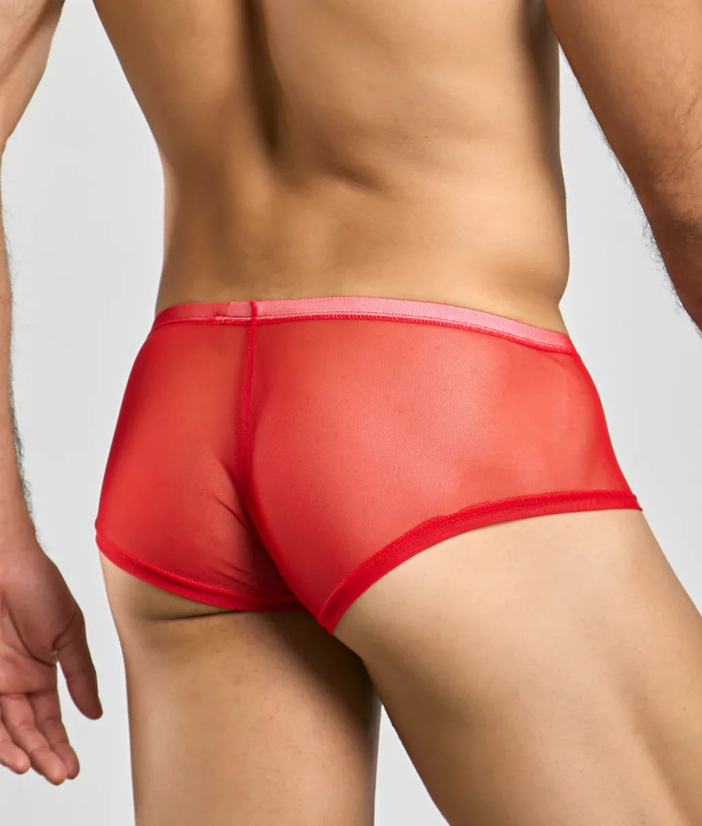 MOB Men's Sexy Sheer Hip Brief