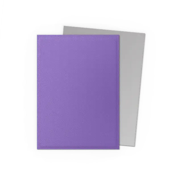 Dragon Shield: Nebula & Silver Dual Matte Sleeves (100)