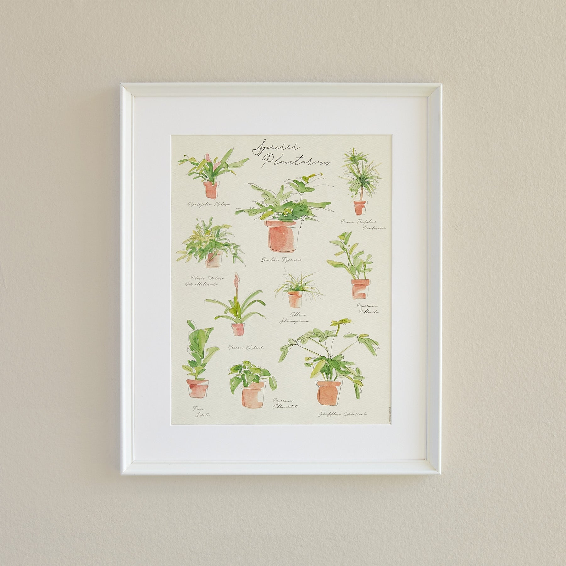 Plant Species Poster