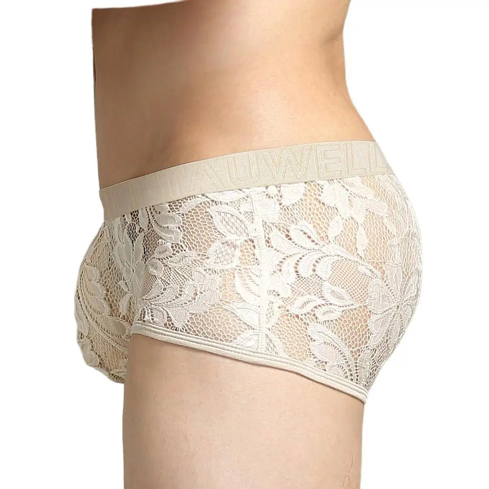 Sexy Mens Boxers Lace Transparent Mesh Underwear Underpants See Through Boxershorts Low Waist Panties Boxer for Man