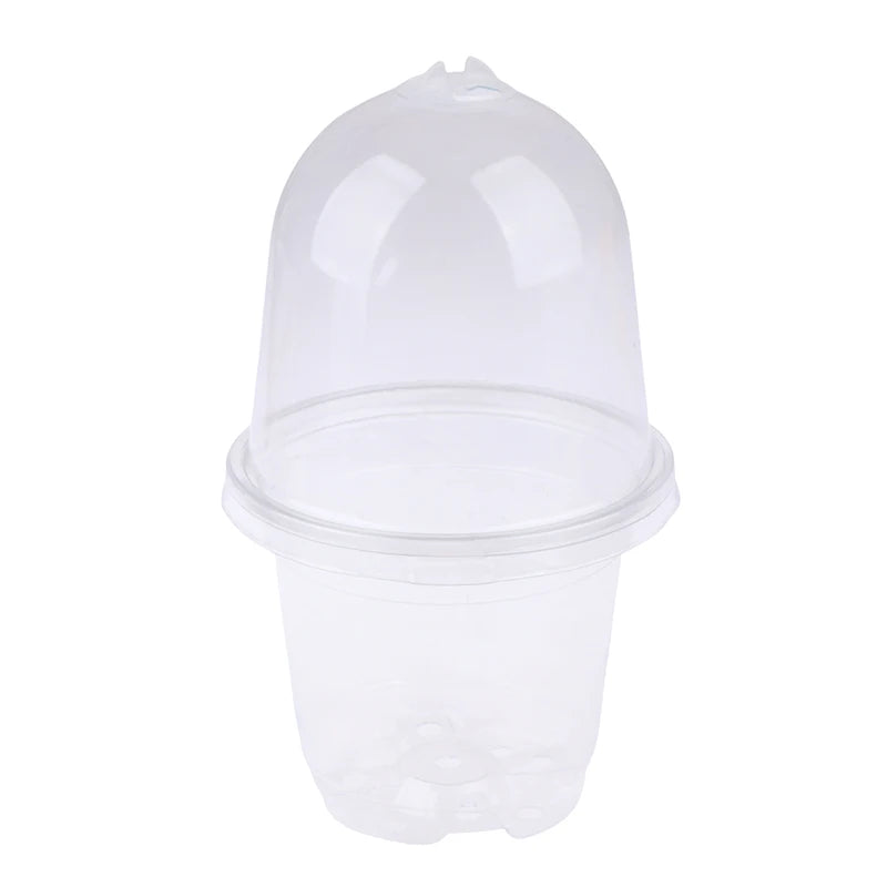 5Pcs Plant Nursery Pot Transparent Plastic PET Seed Stater Cups with Cover Humidity Dome Tray Transplanting Planter Containers