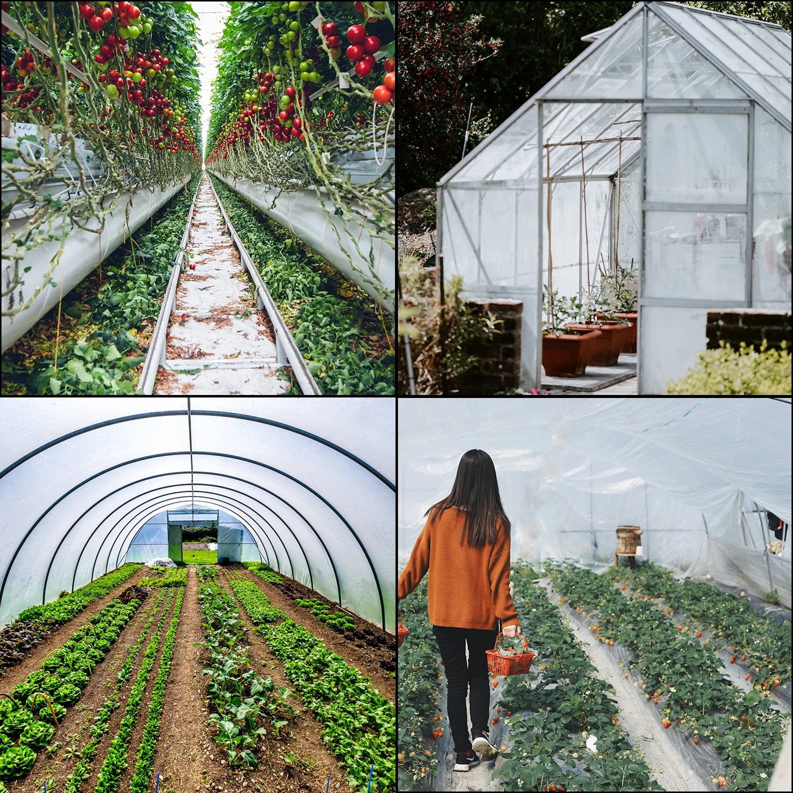 SucceBuy Greenhouse Film 32x25ft Greenhouse Polyethylene Film 6 Mil Thickness Greenhouse Plastic Clear Plastic Film UV Resistant