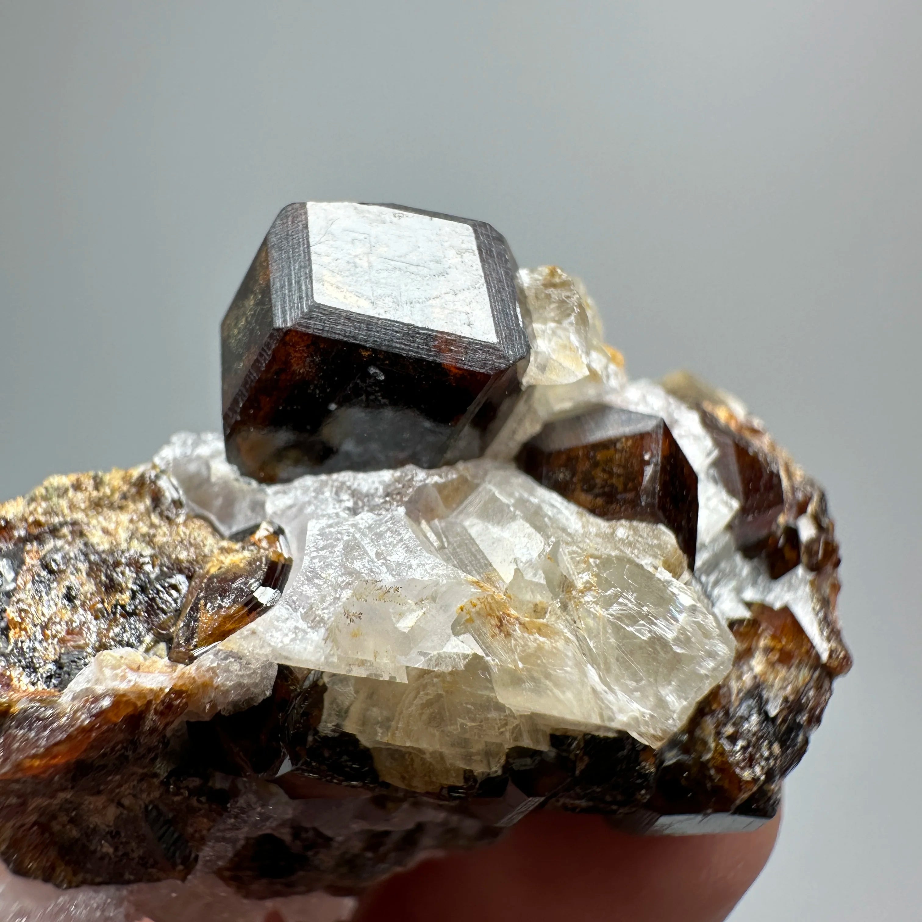 Natural Dark Brown Andradite Garnet Cluster Raw Crystal Mineral Specimen Calcite Matrix Healing Stone Home Decoration