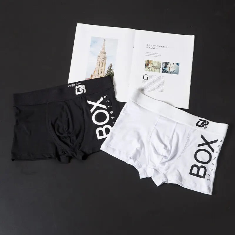 1/2Pcs ORLVS Mens Boxer Sexy Underwear Soft Long Boxer Cotton Soft Underpant Male Panties 3D Pouch Shorts Under Wear Pants Short