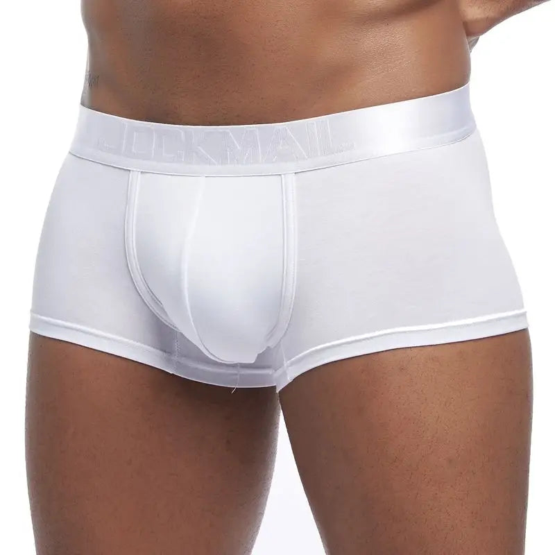Underwear Men Boxers Men's Clothing Men Shorts Man Panties Boxershorts Boxer Hombre Ropa Interior Hombre Modal Breathable