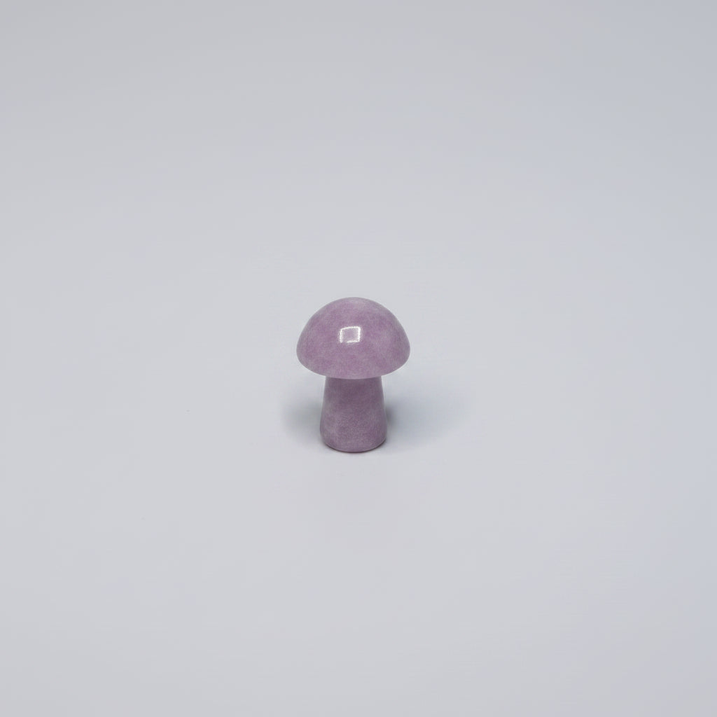 Mini Mushroom Carved Gemstone