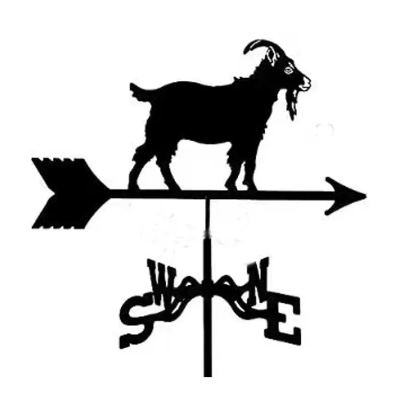 Metal Weathervane,Witch Iron Weather Vane,Sea Rover Wind Direction Indicator Garden Decoration Outdoor Roof Decoration Gardening