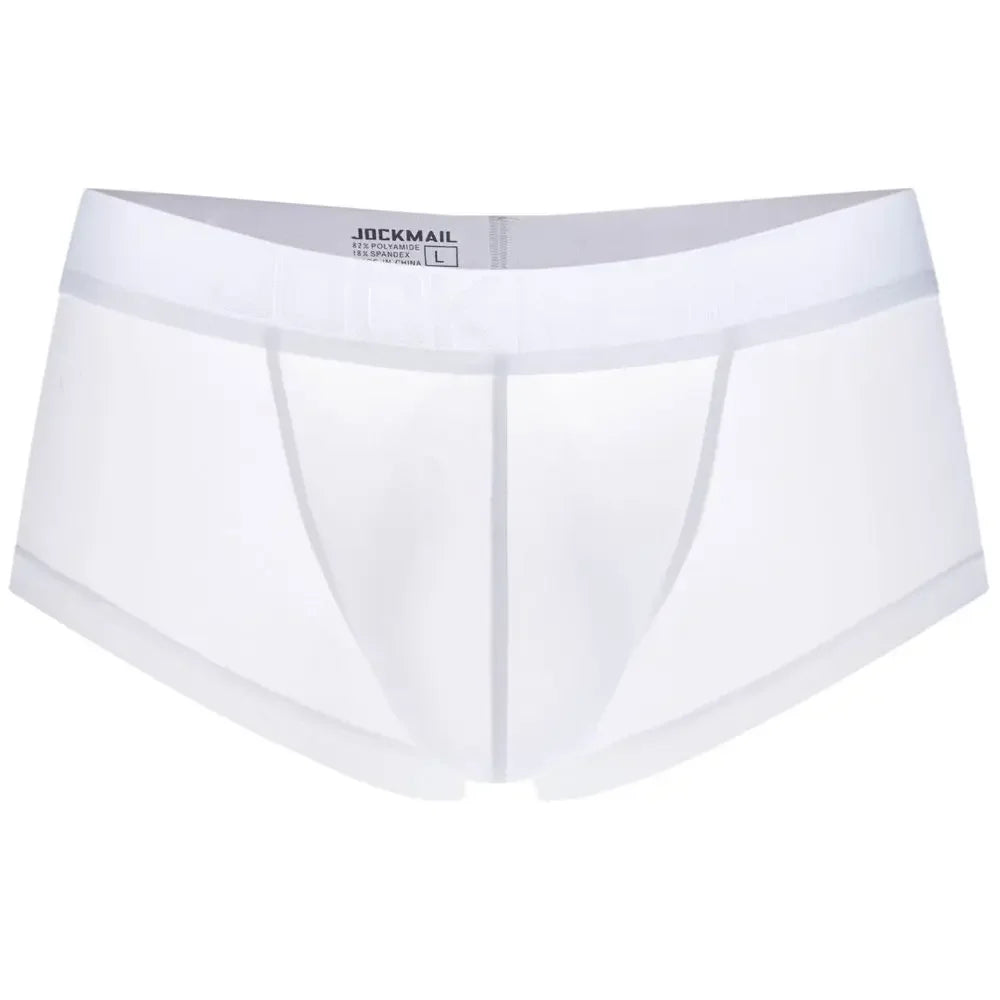 Sexy Underwear Men Boxer Panty Shorts Ice Silk Original Panties Breather Boxer Briefs Ultra-thin Transparent Fun Gay Underwear