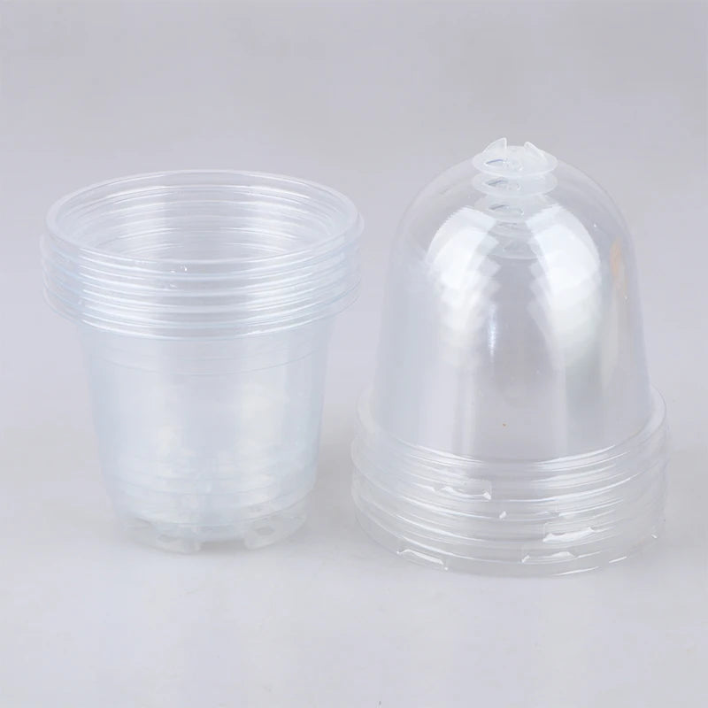 5Pcs Plant Nursery Pot Transparent Plastic PET Seed Stater Cups with Cover Humidity Dome Tray Transplanting Planter Containers