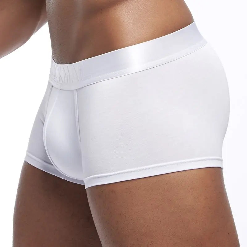Underwear Men Boxers Men's Clothing Men Shorts Man Panties Boxershorts Boxer Hombre Ropa Interior Hombre Modal Breathable