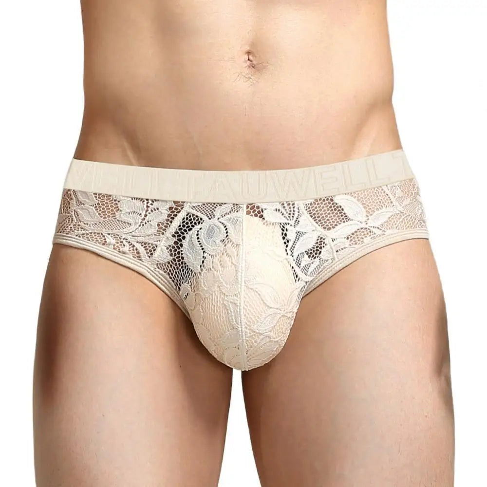Mens Sexy Lace Transparent Briefs Mesh See Through Underpants 2024 New Men Underwear Briefs Breathable Lingerie Panties