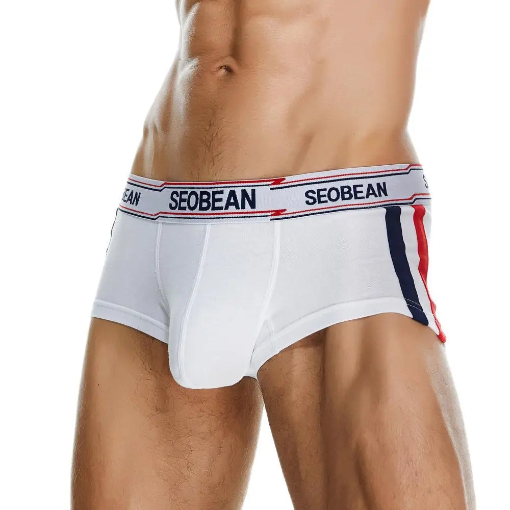 SEOBEAN Brand Men's Boxers Briefs Breathable Cotton Underwear Men Underpants Boxer Shorts U convex Bag 2023 New Boxer For Man