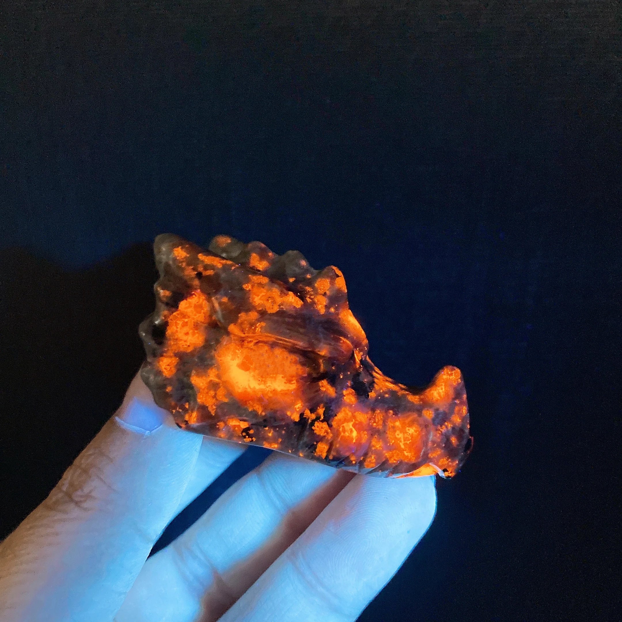 2‘’ Natural Yooperlite Dragon Head