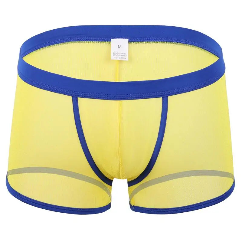 Men's Underwear Boxers Sexy Mesh Transparent Boxer Shorts Low Waist Breathable Panties Boxer for Man