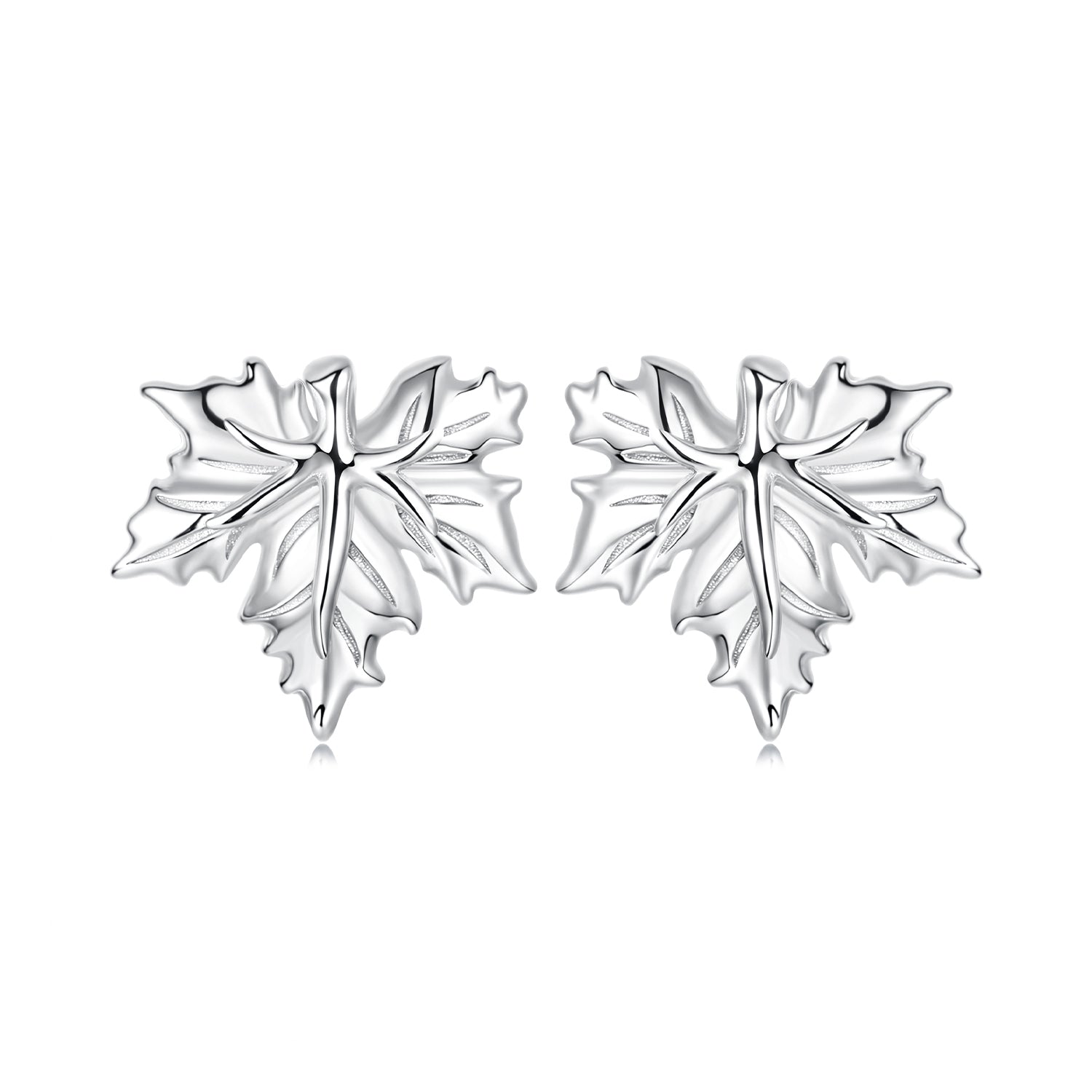 925 Sterling Silver Earrings for Women