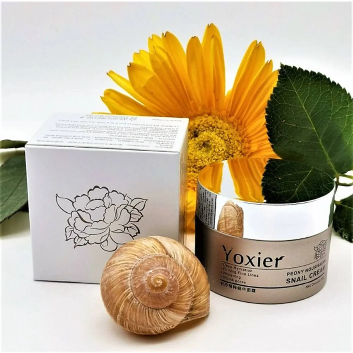 Nourishing Facial Snail Cream