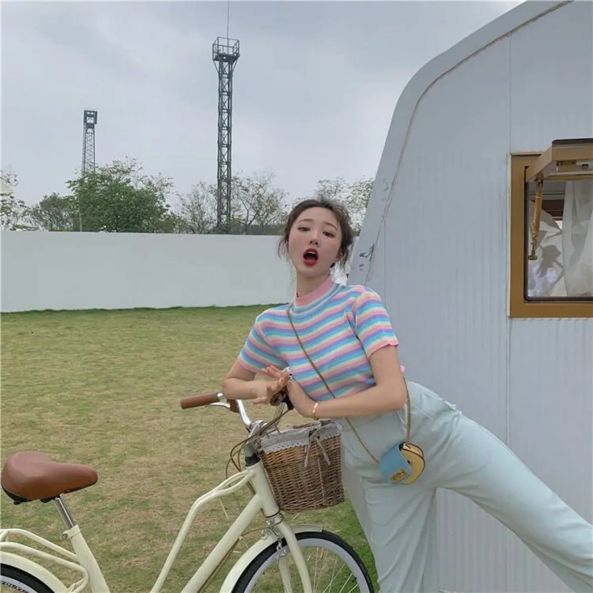 Pastel Striped Crop Top