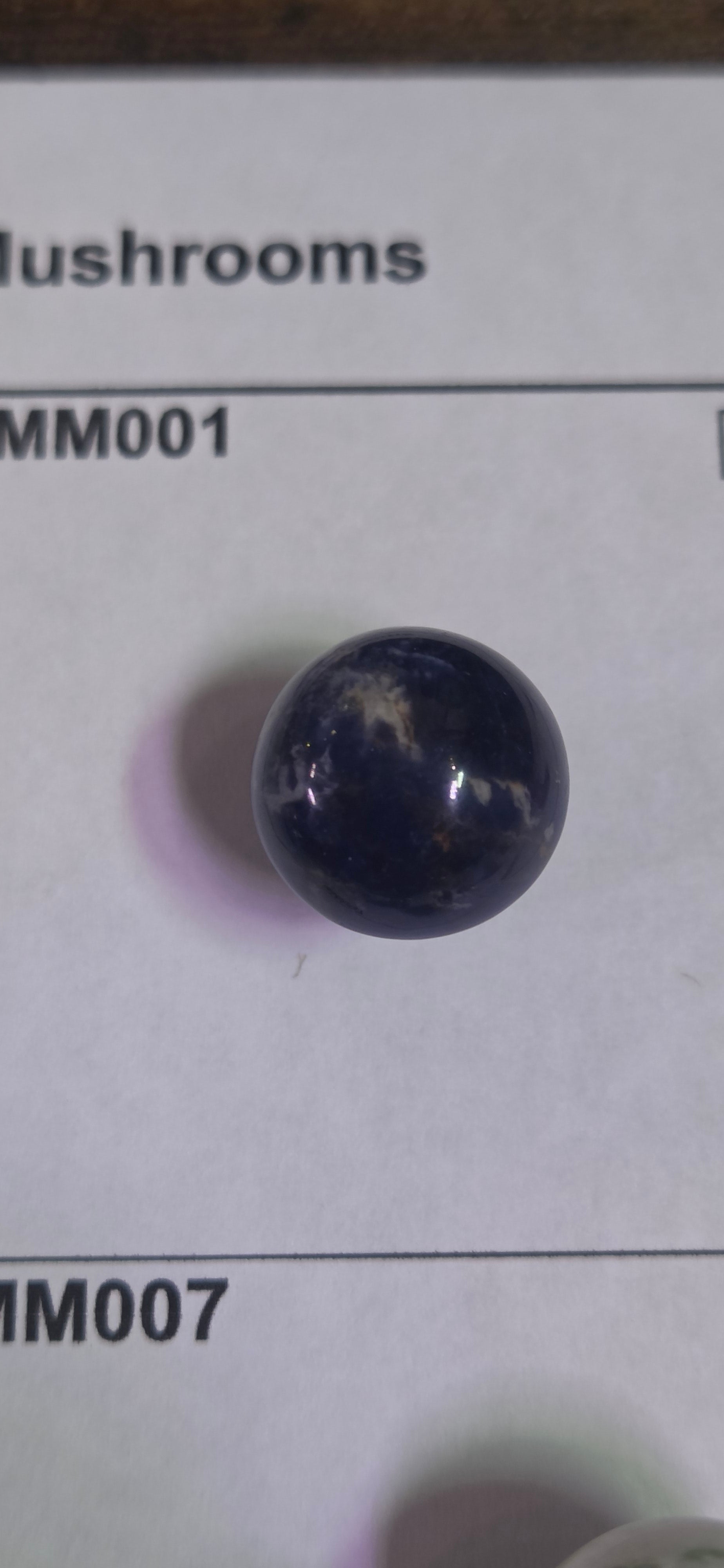 Mini Rock Mushroom MM014