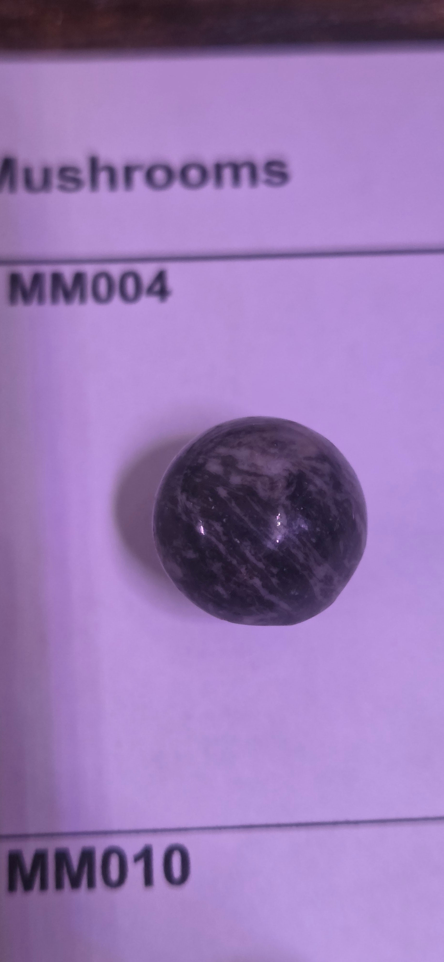 Mini Rock Mushroom MM013