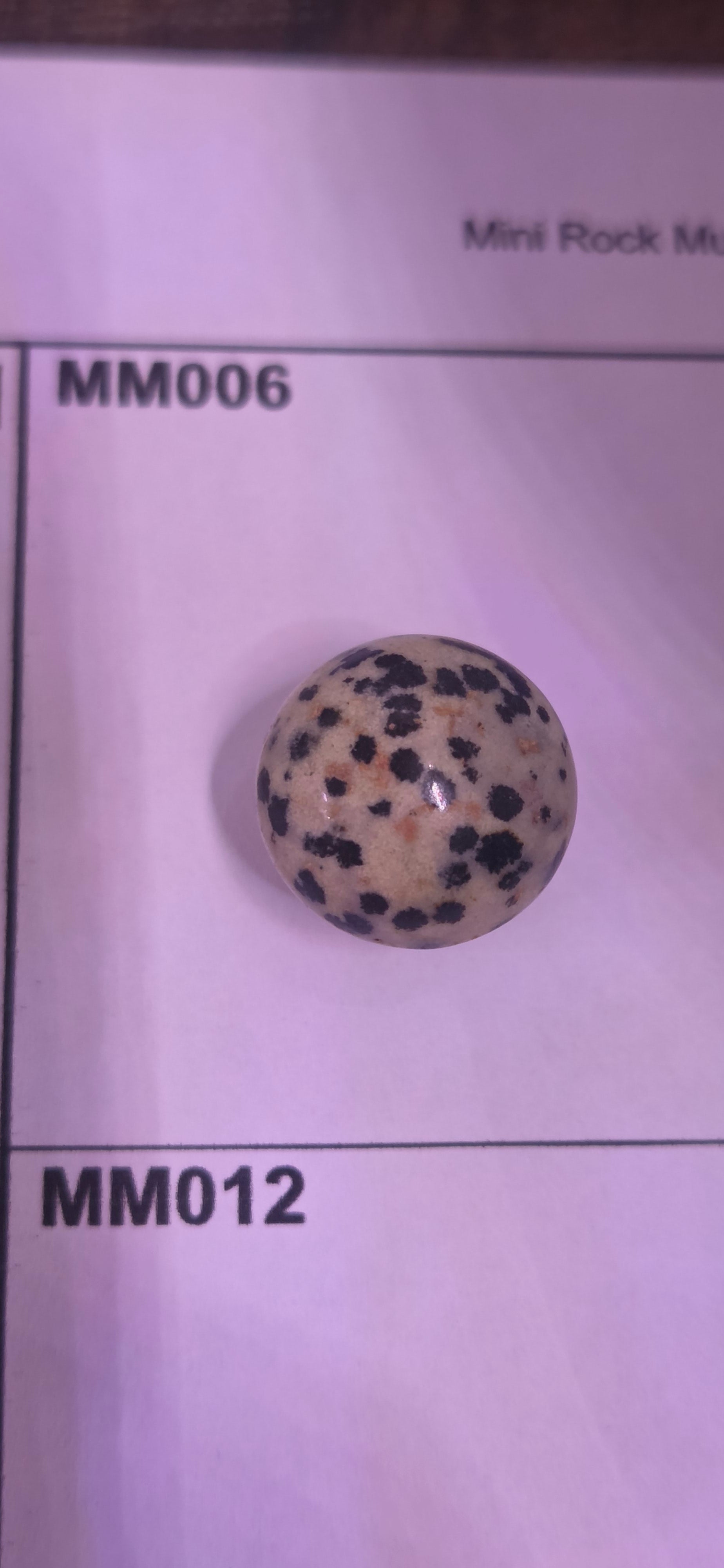 Mini Rock Mushroom MM010