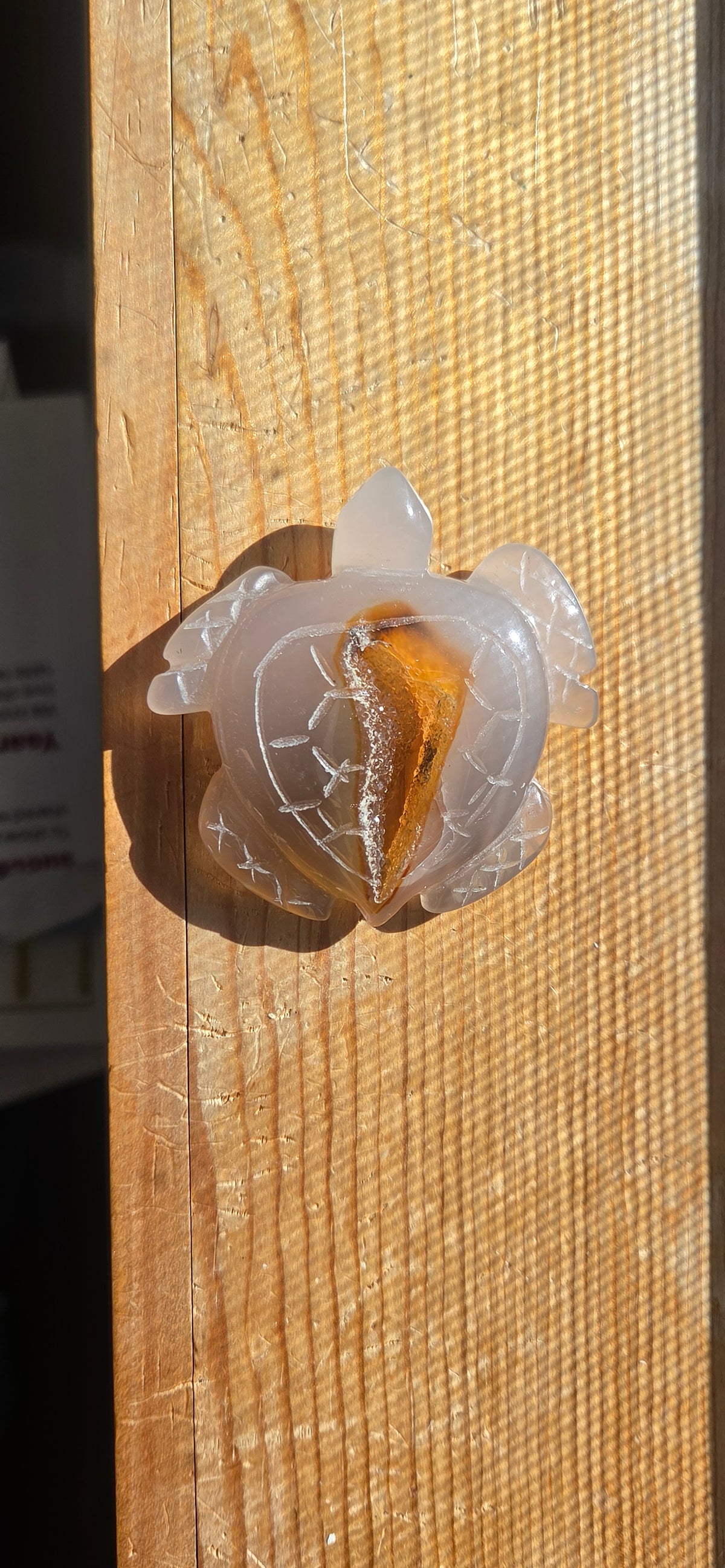 Carved Agate Turtle