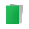 Dragon Shield:  Apple Green & Silver Dual Matte Sleeves (100)
