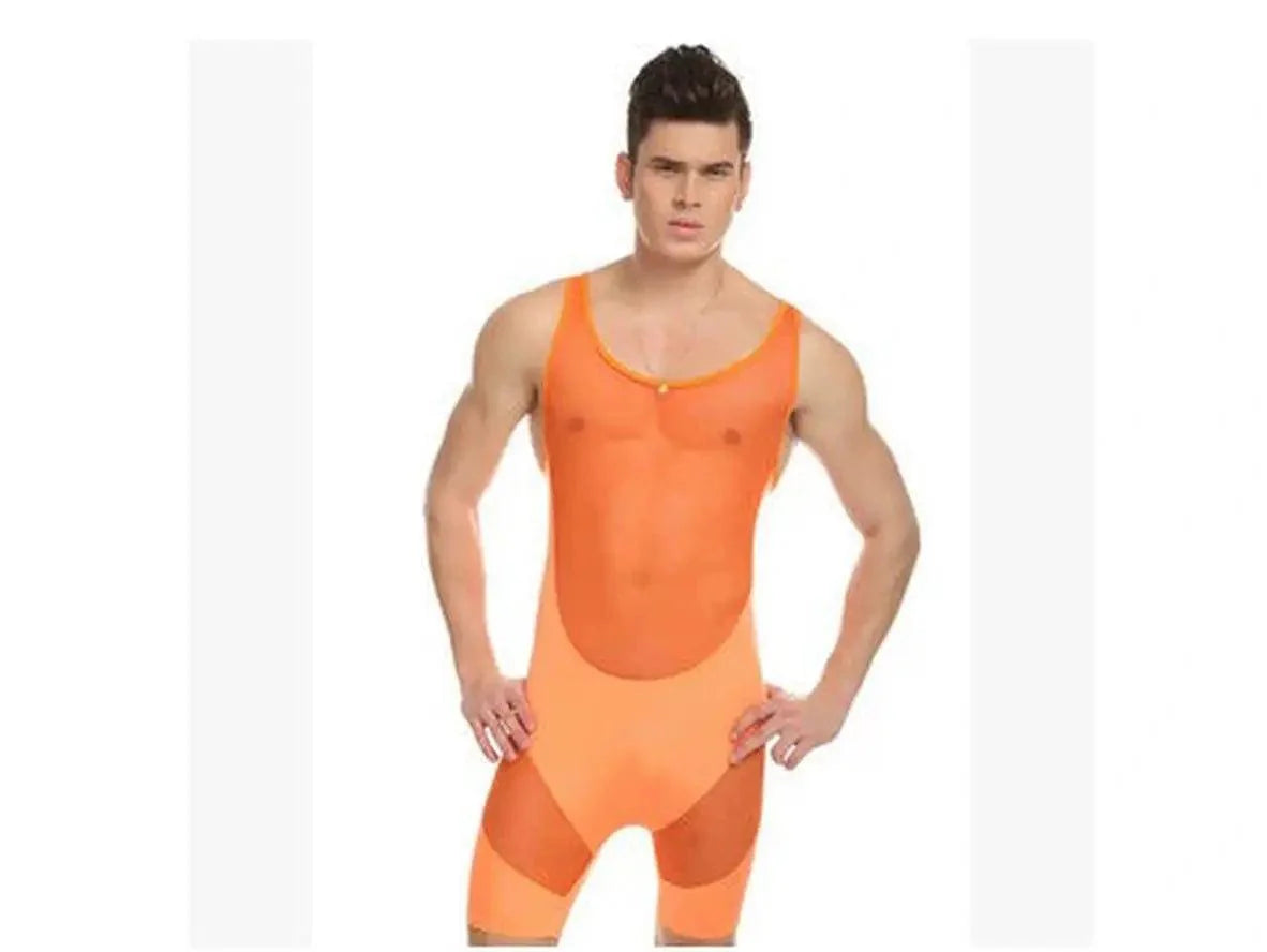Gay Bodysuit | Mesh See-Through Sexy Bodysuit