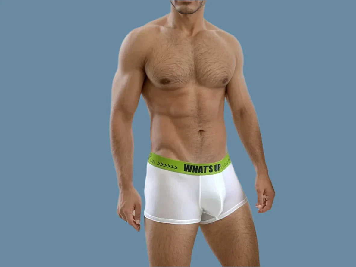 Gay Boxer Briefs | GTOPX MAN "What's Up" Boxer Briefs