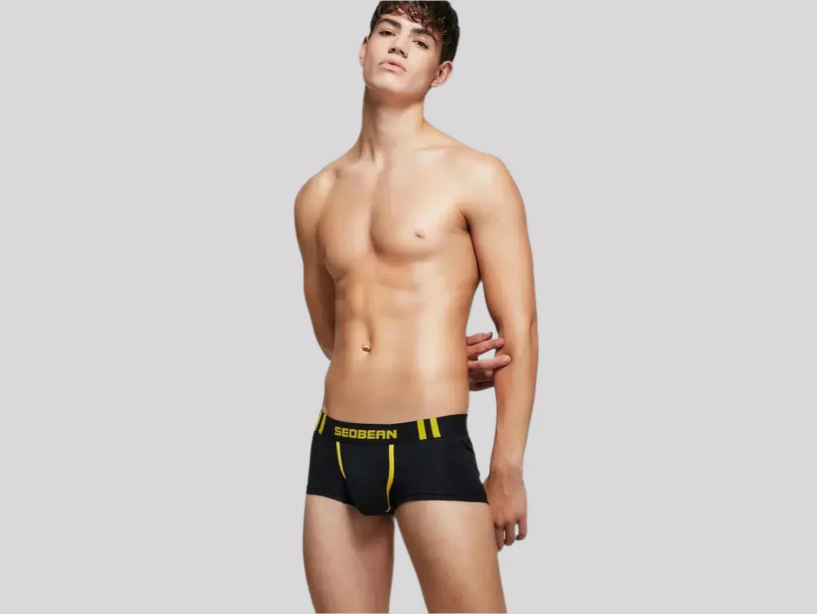 Gay Boxer Briefs | SEOBEAN Cotton Boxer Briefs