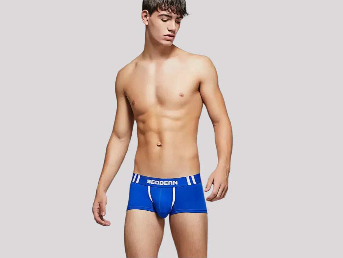 Gay Boxer Briefs | SEOBEAN Cotton Boxer Briefs