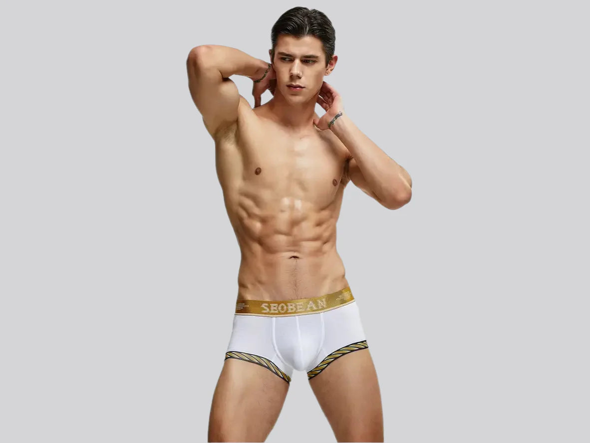Gay Boxer Briefs | SEOBEAN Sexy Boxer Briefs