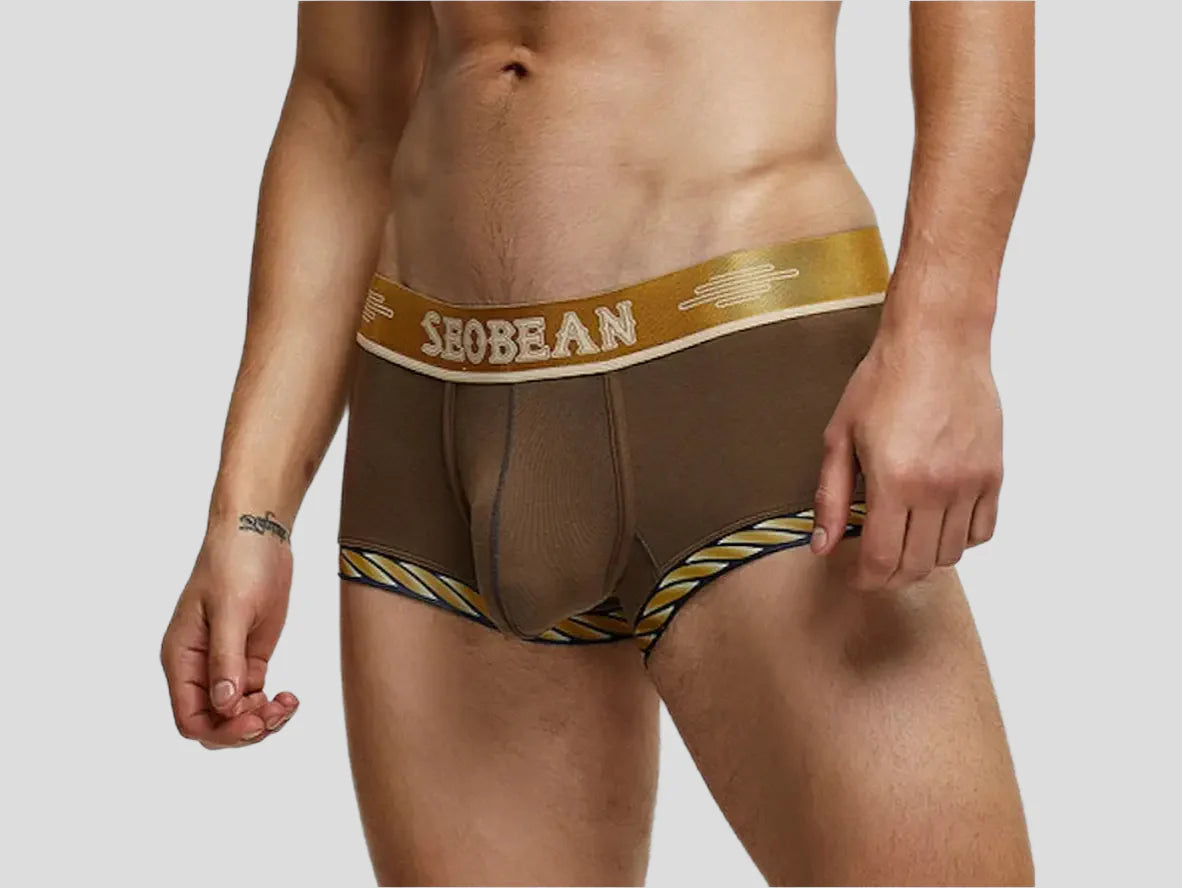 Gay Boxer Briefs | SEOBEAN Sexy Boxer Briefs