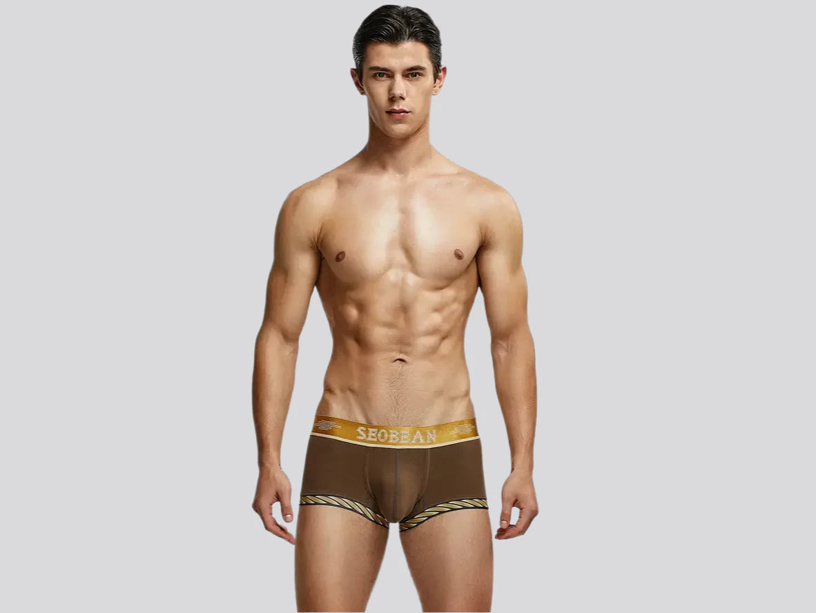 Gay Boxer Briefs | SEOBEAN Sexy Boxer Briefs