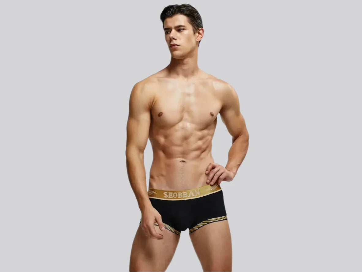 Gay Boxer Briefs | SEOBEAN Sexy Boxer Briefs