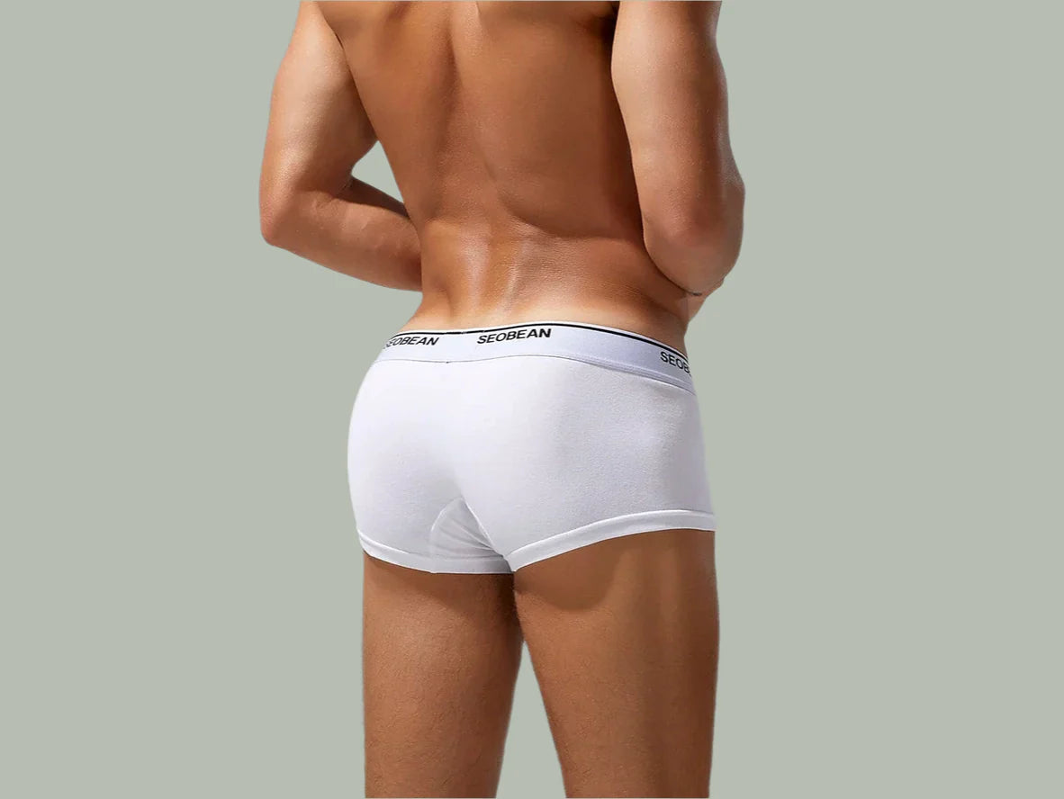 Gay Boxer Briefs | SEOBEAN Solid Cotton Boxer Briefs