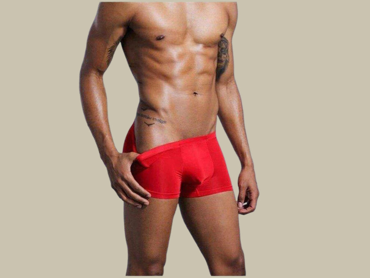 Gay Boxer Briefs | Soft Comfy Boxer Briefs